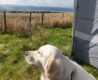 Enjoying the View